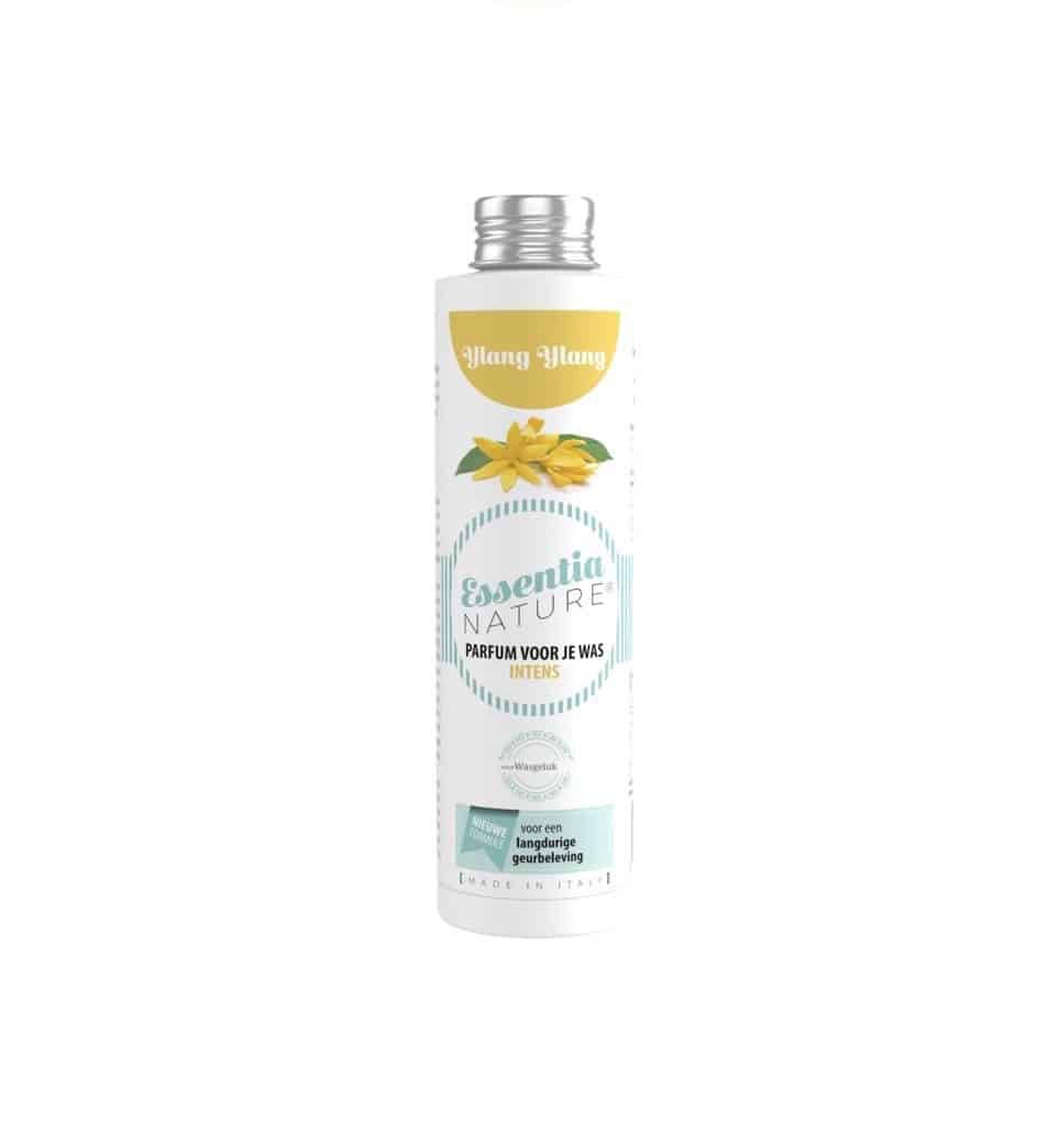 Ylang YlangLarge